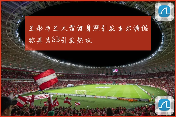 王彤与王大雷健身照引发吉尔调侃称其为SB引发热议