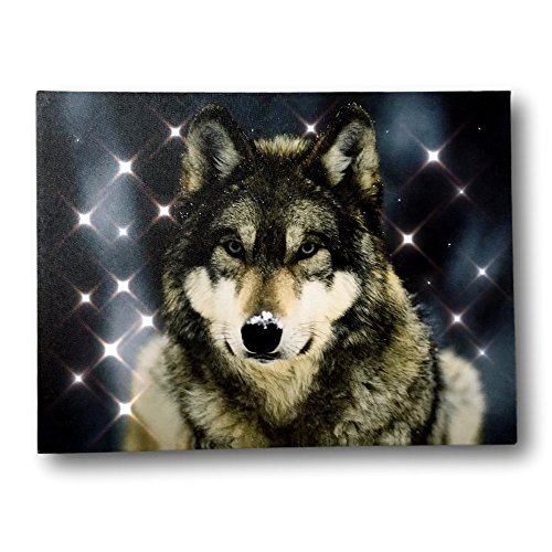 BANBERRY DESIGNS LED Wolf Canvas Prints - Set of 2 Lighted and Fiber ...