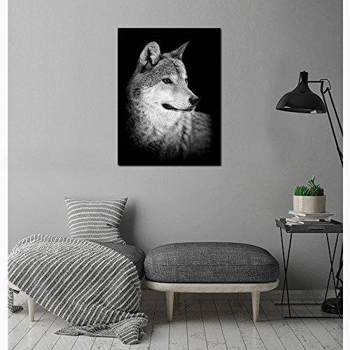 LevvArts - Wolf Canvas Print,Portrait of Beautiful Wolf in the Dark ...