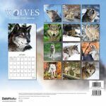 Wolves Calendar 2020 Set - Deluxe 2020 Wolves Wall Calendar with Over ...