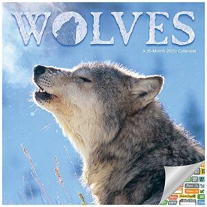 Wolves Calendar 2020 Set - Deluxe 2020 Wolves Wall Calendar with Over ...